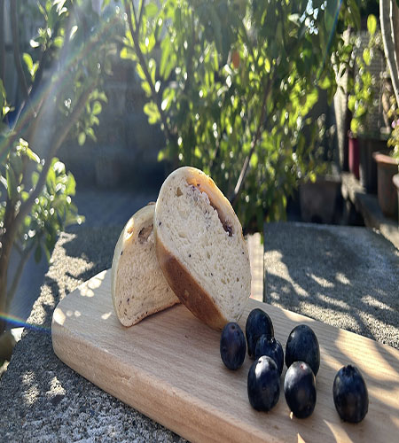 ｜藍莓乳酪圓圓包 ｜