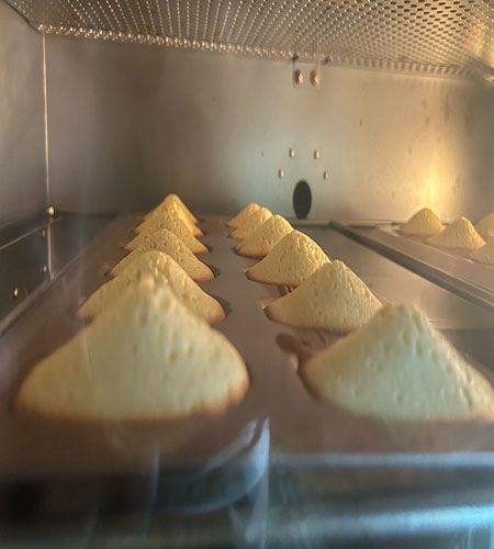 ｜原味瑪德蓮 ｜